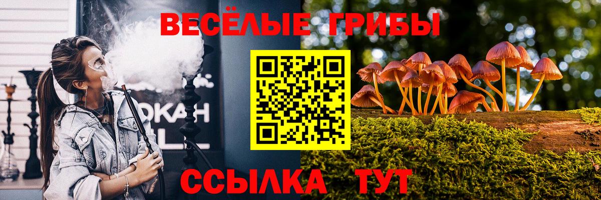 Галлюциногенные грибы мухоморы  Вход с VPN  Нововоронеж  Галлюциногенные грибы Cubensis 