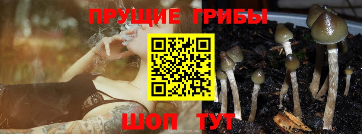 Галлюциногенные грибы мицелий Нововоронеж